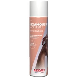 Nettoyant main sec Aexamousse sans eau