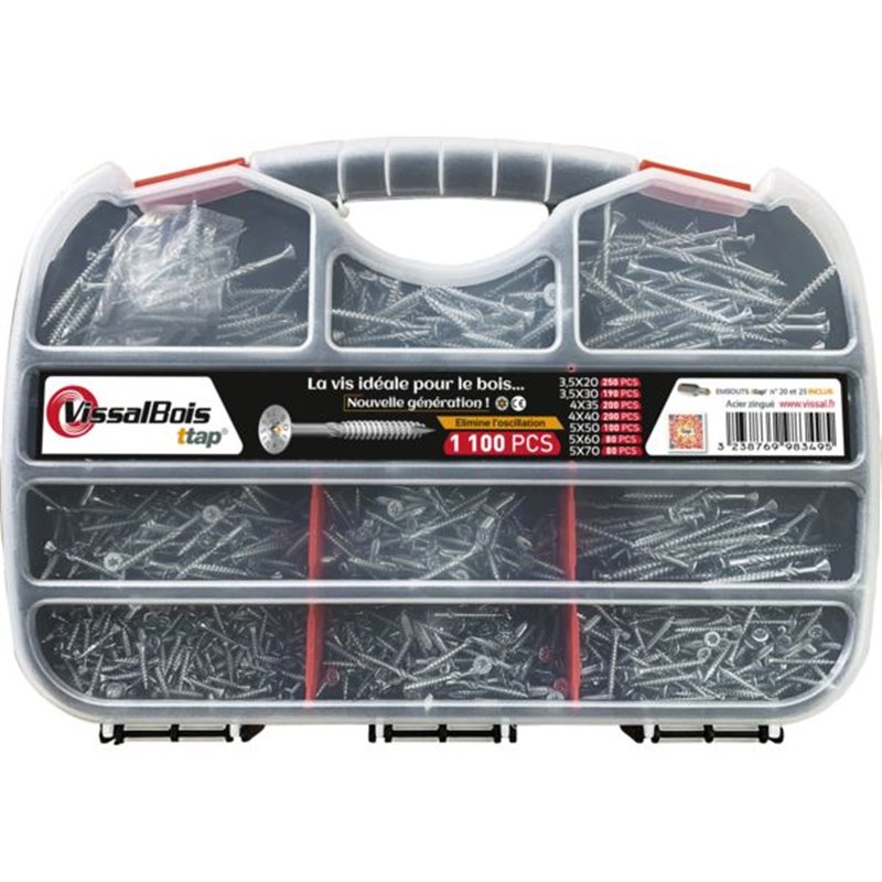 Mallette de 1100 vis TTAP Torx