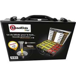 Mallette de 1700 vis TTAP Torx