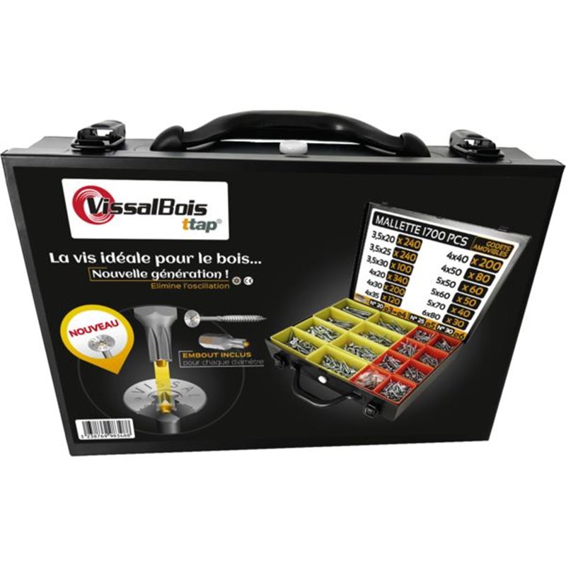 Mallette de 1700 vis TTAP Torx