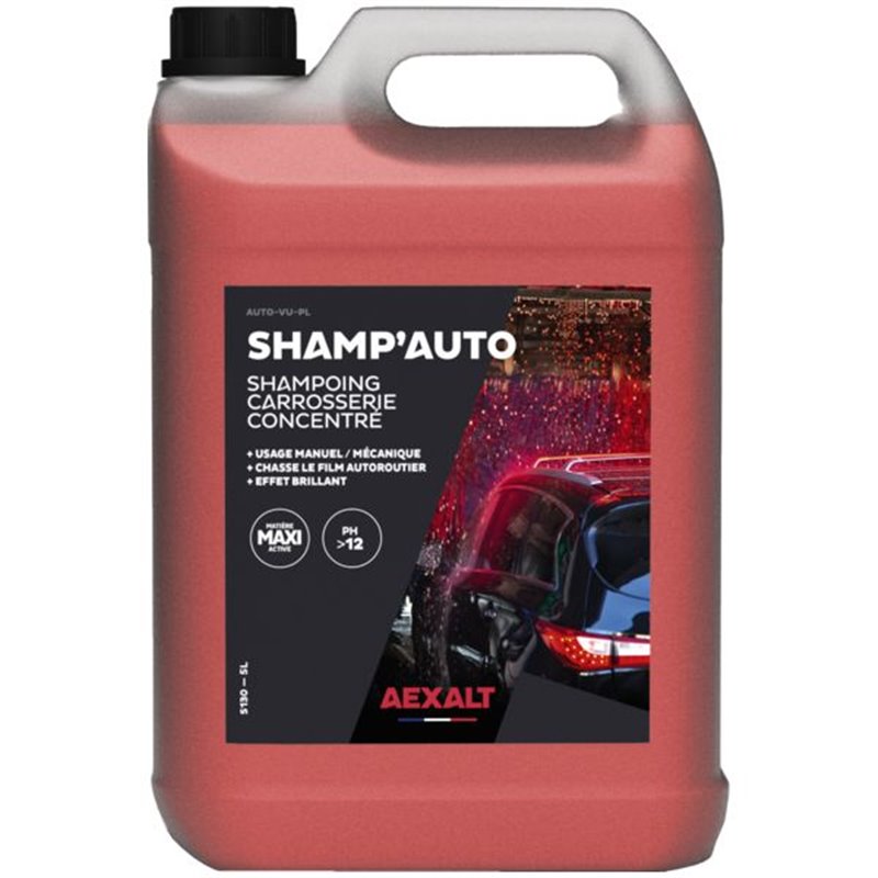 Shampoing carrosserie Shamp?Auto