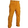 Pantalon Gold