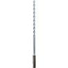 Foret Wallster