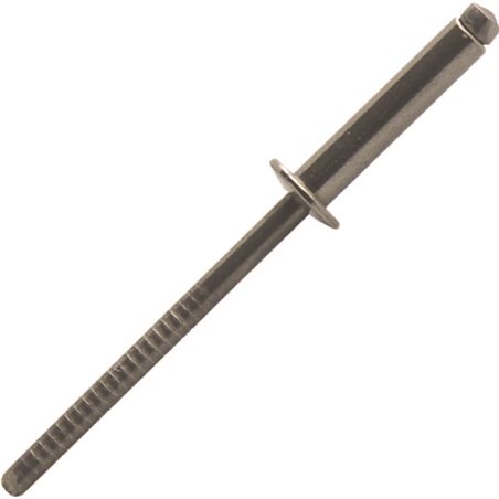 Rivet inox tête plate